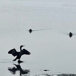 Meet your Posher, Kathryn